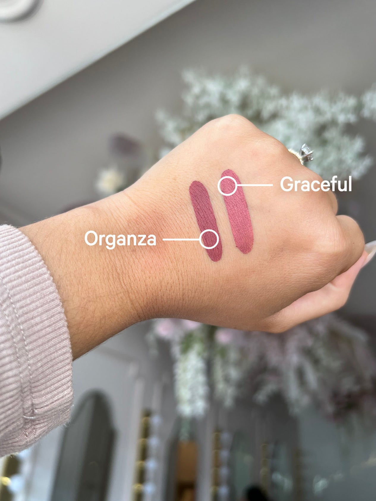 Fancy Face Toronto | Organza Lip Liner