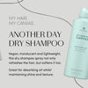 Alterna My Hair My Canvas Another Day Dry Shampoo