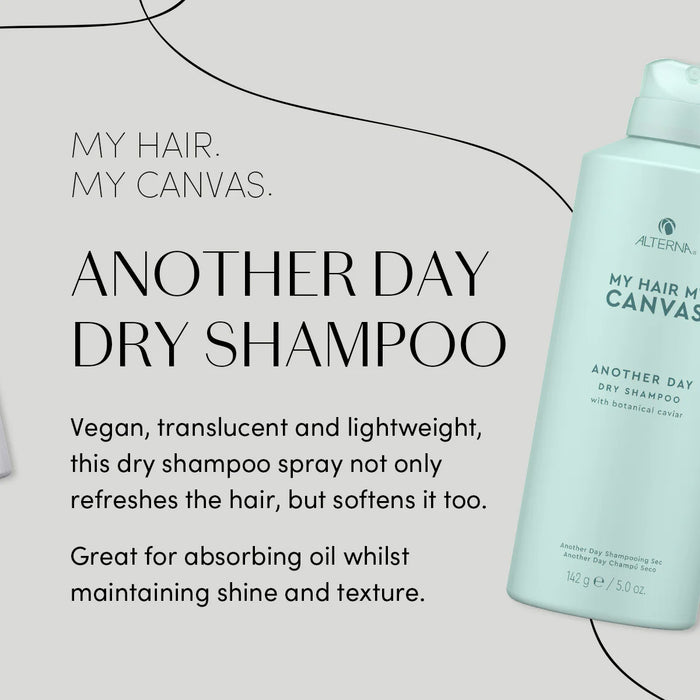 Alterna My Hair My Canvas Another Day Dry Shampoo