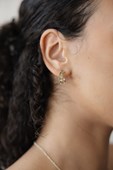 Glee Jewelry - Chara Hoops - Moss Green